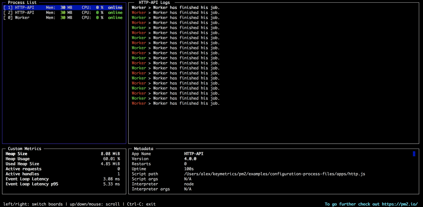 pm2 monit terminal-based monitoring dashboard