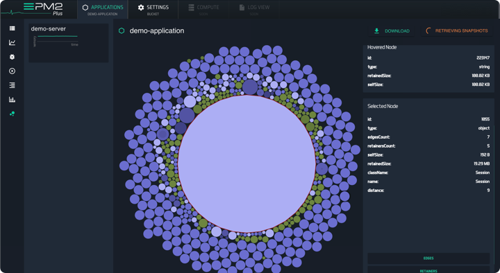 PM2 Enterprise profiling tools showing CPU flame graphs, memory analysis, and performance optimization features